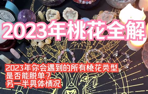 2023流年桃花|命盤指引把握新機緣！ 解密2023年桃花人緣的關鍵轉。